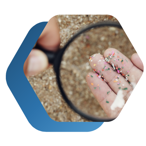 LP Image webinar Microplastic 092025 LP Image webinar Microplastic 092025