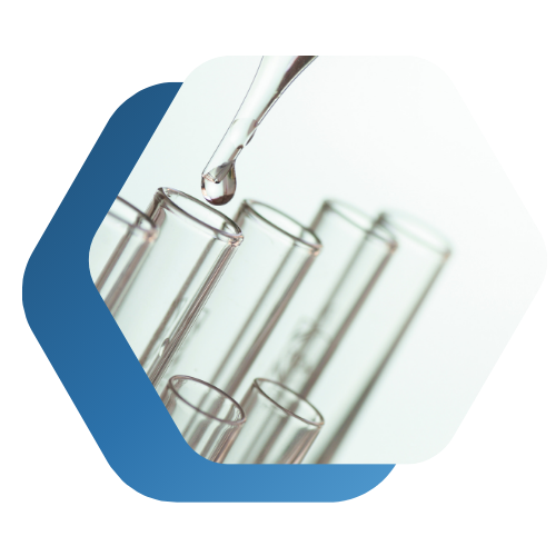 LP Image webinar REACH