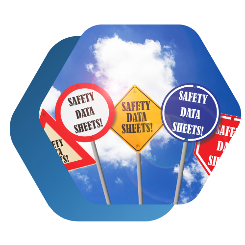 LP Image webinar SDS EN April 2024 LP Image webinar SDS EN April 2024